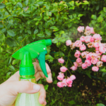 Homemade Insecticide Sprays