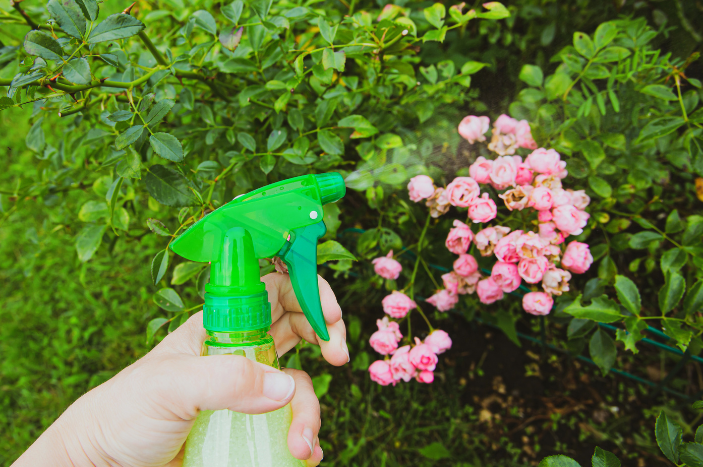 Homemade Insecticide Sprays