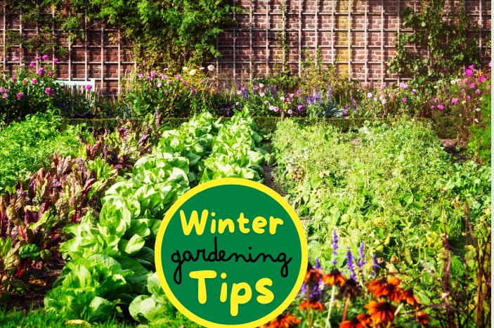 winter gardening tips